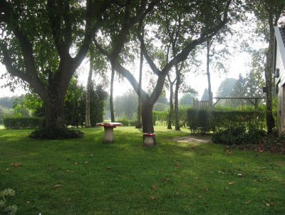 This is picture 1