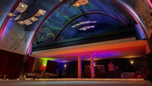 Winter Festival AVOND TICKET ECSTATIC DANCE